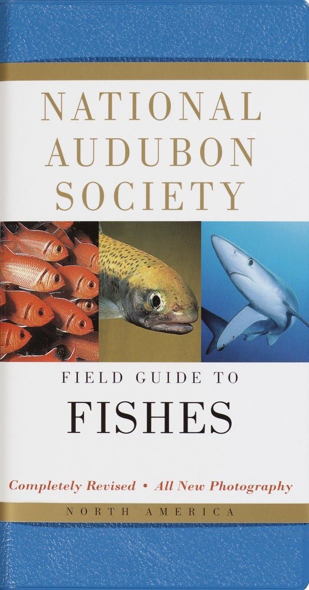 National Audubon Society Field Guide to Fishes: North America (National Audubon Society Field Guides) Mathematics