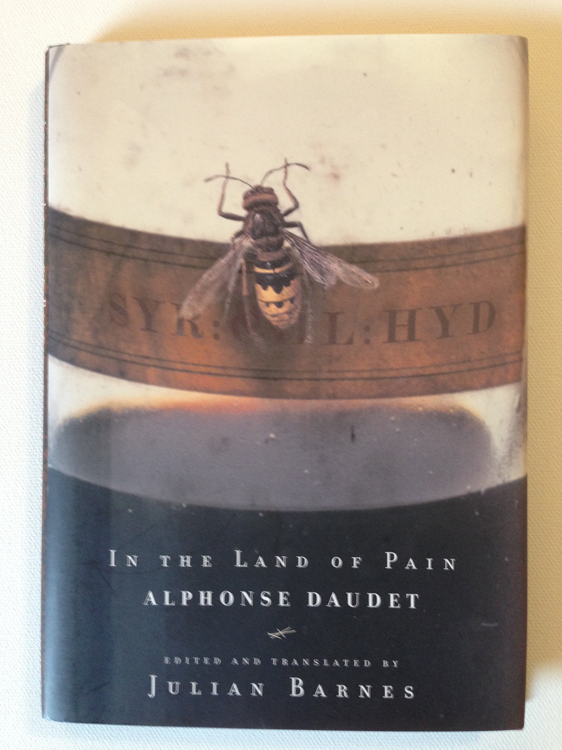 In the Land of Pain Art & Literature