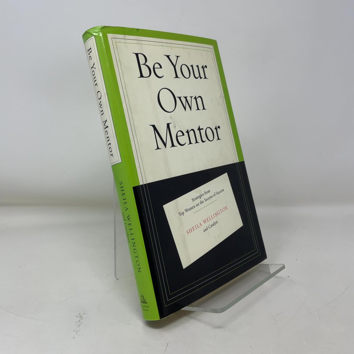 Be Your Own Mentor: Strategies from Top Women on the Secrets of Success Business, Finance & Career