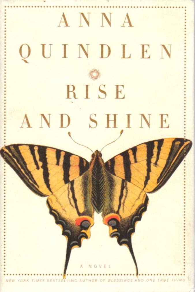Rise and Shine: A Novel Contemporary literature Books