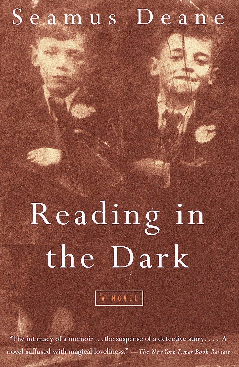 Reading in the Dark: A Novel (Vintage International) Historical Fiction