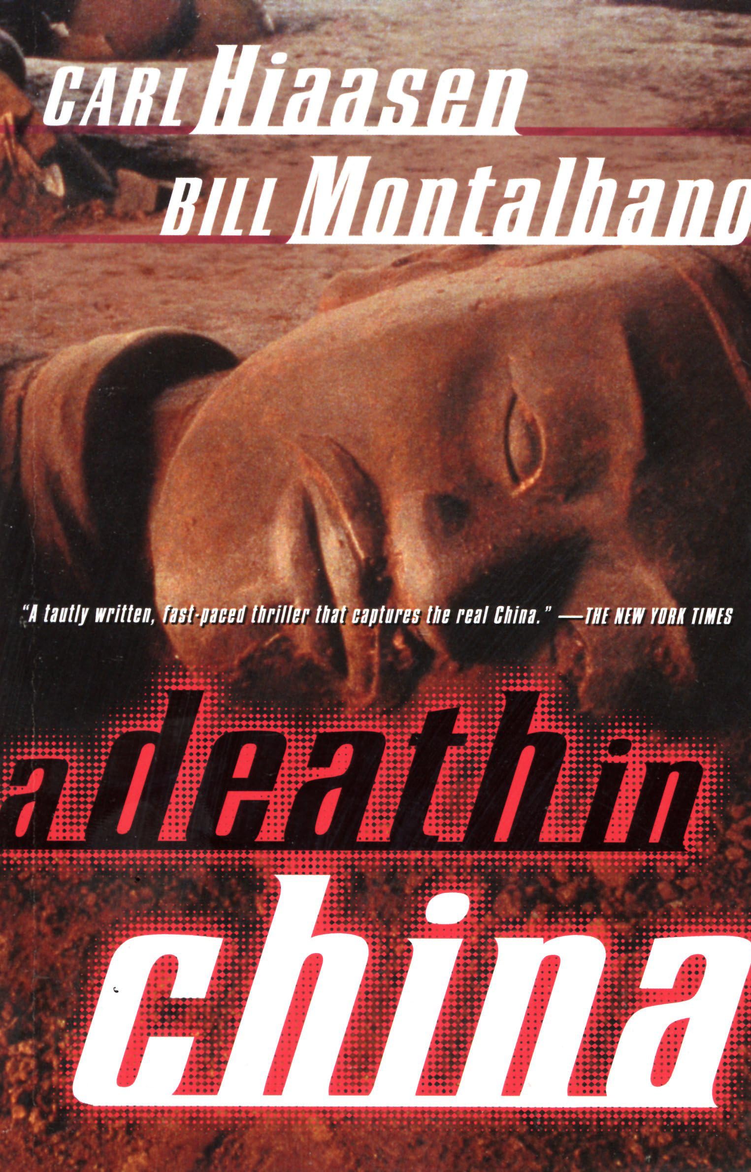 A Death in China Contemporary literature