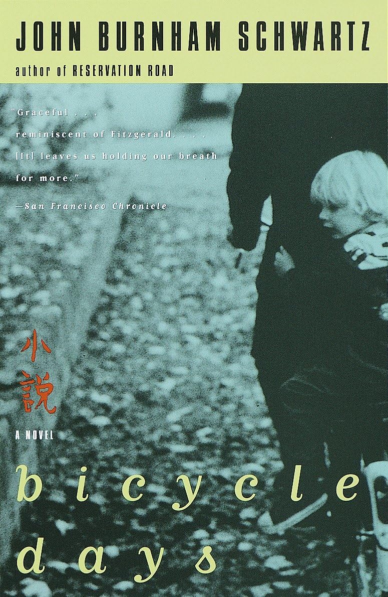 Bicycle Days (Vintage Contemporaries) Contemporary literature