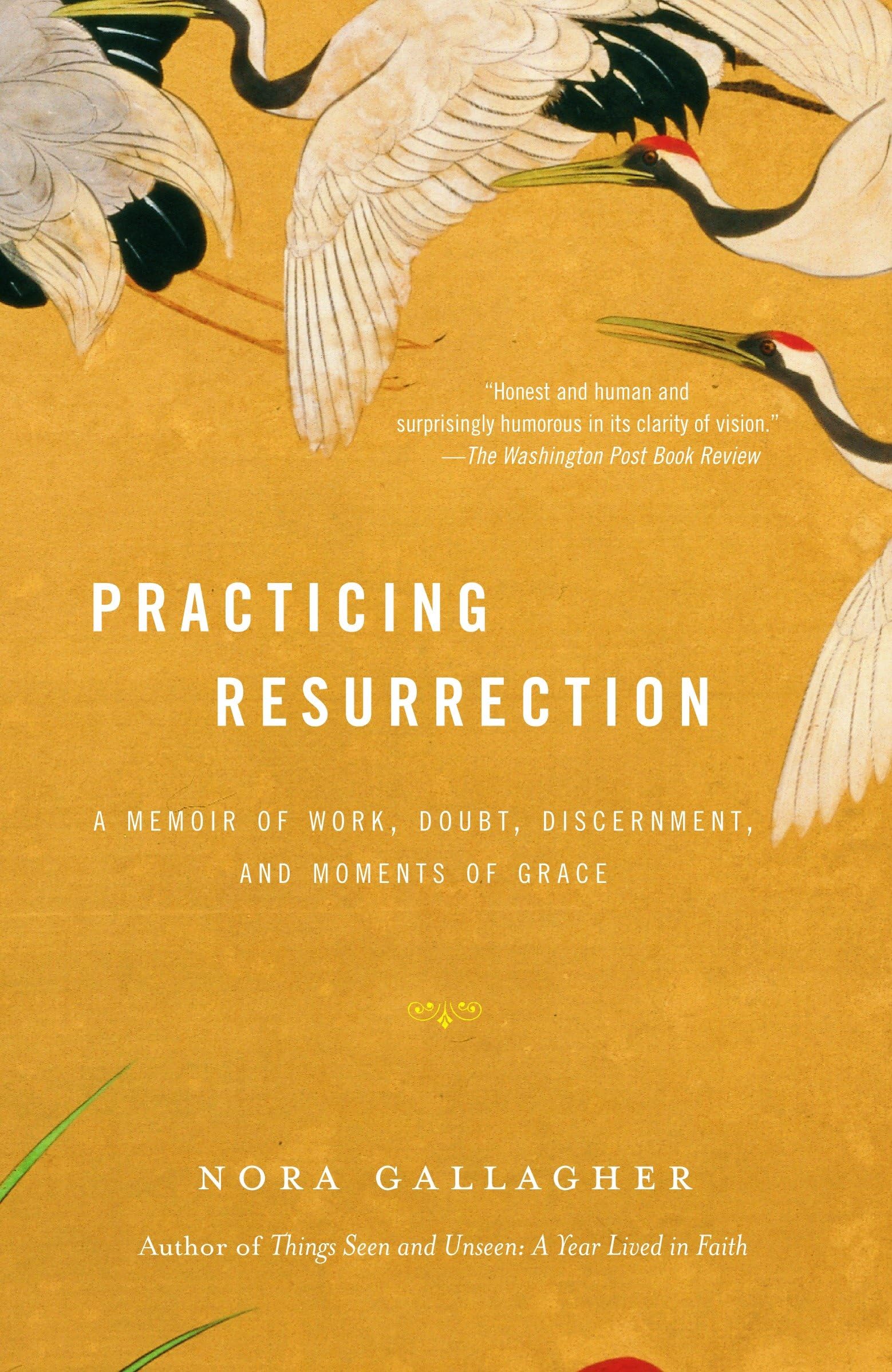 Practicing Resurrection: A Memoir of Work, Doubt, Discernment, and Moments of Grace Politics & Society