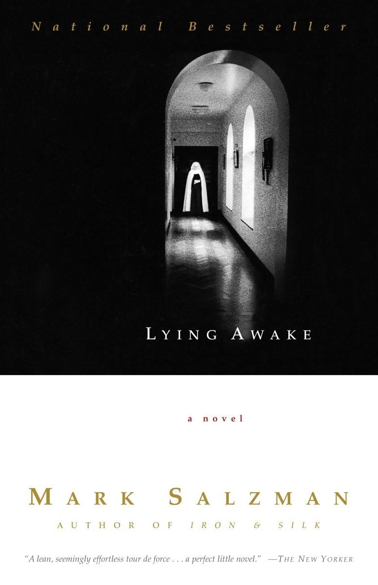 Lying Awake: A Novel (Vintage Contemporaries) Classics