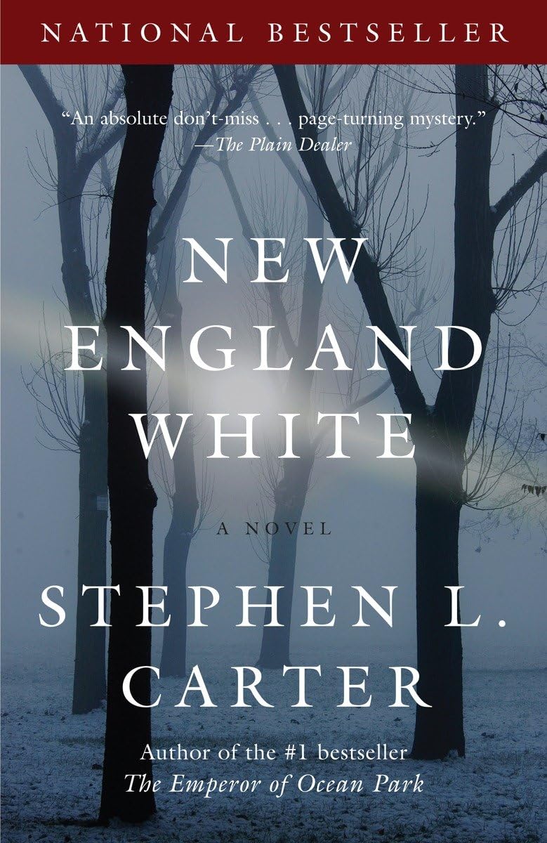 New England White: A Novel (Vintage Contemporaries) Action & Adventure
