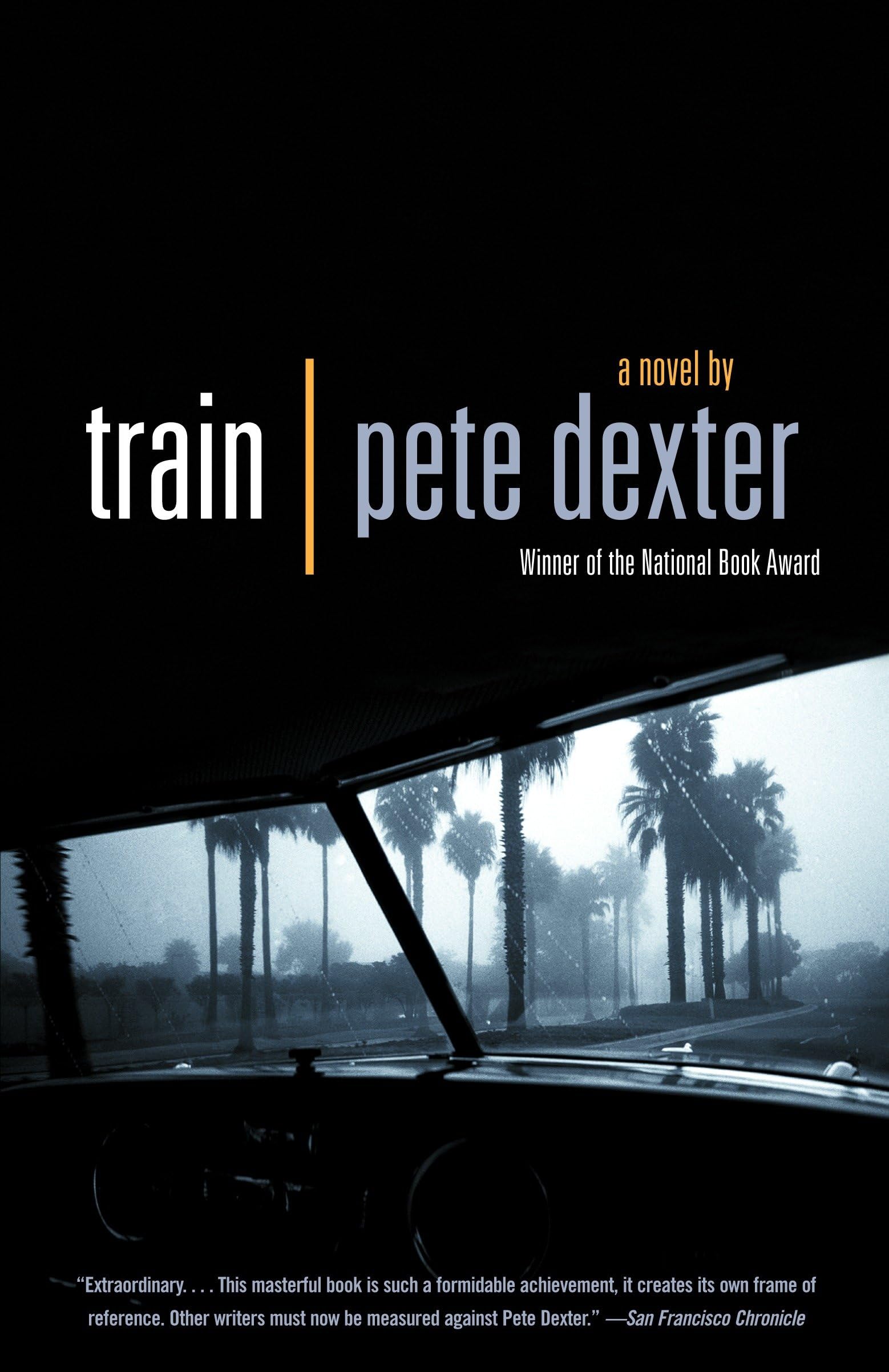 Train: A novel (Vintage Contemporaries) Contemporary literature