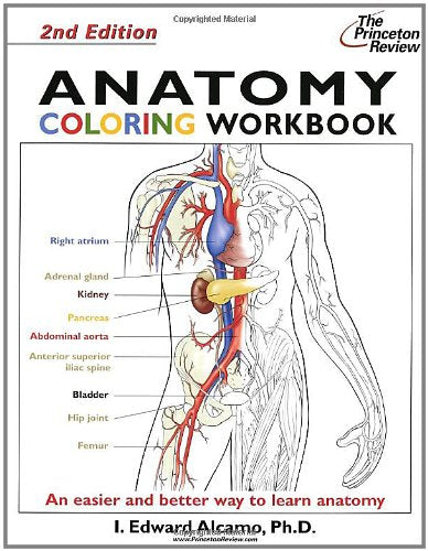 The Princeton Review Anatomy Coloring Workbook (Coloring Workbooks) Medicine