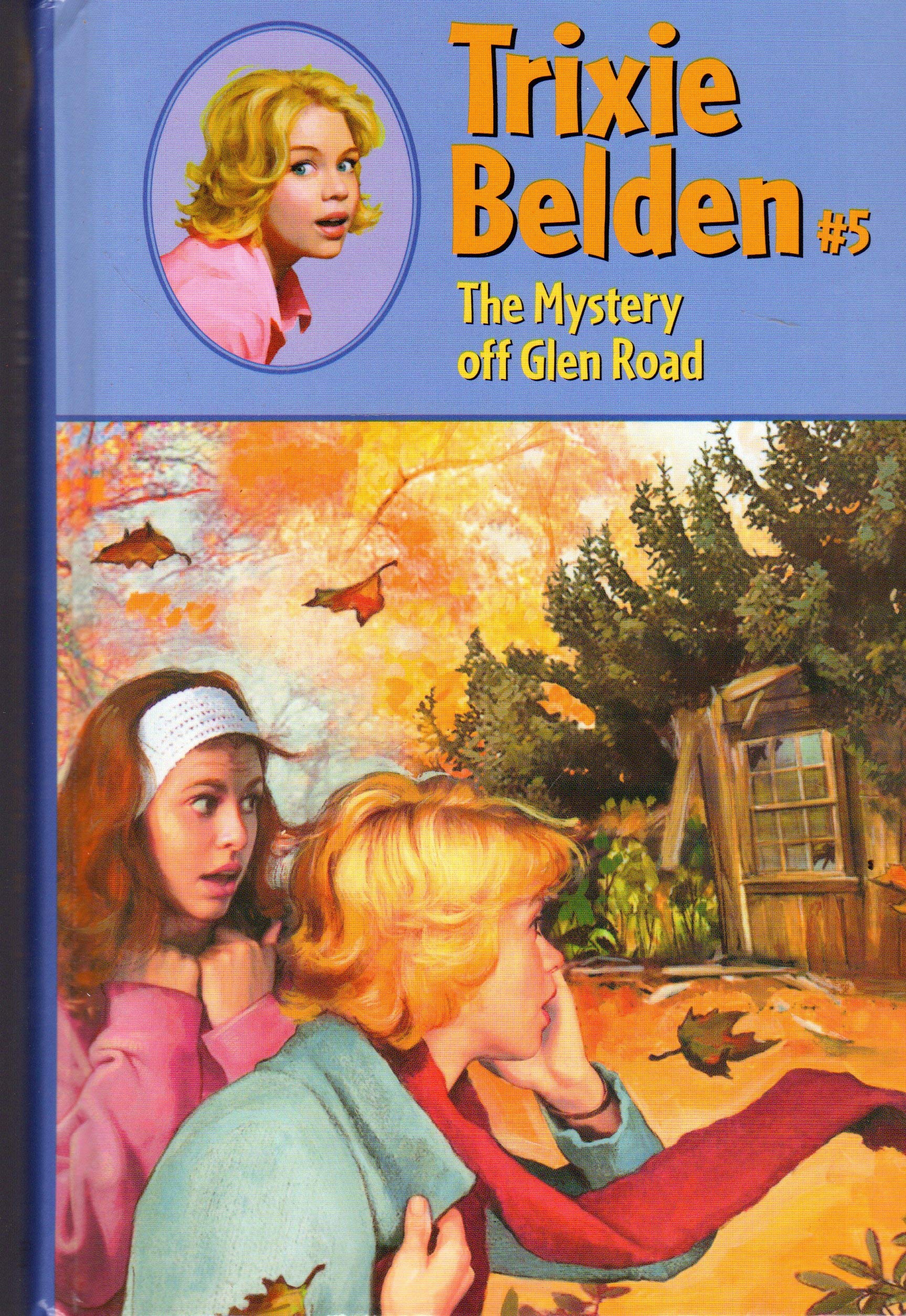 The Mystery Off Glen Road book