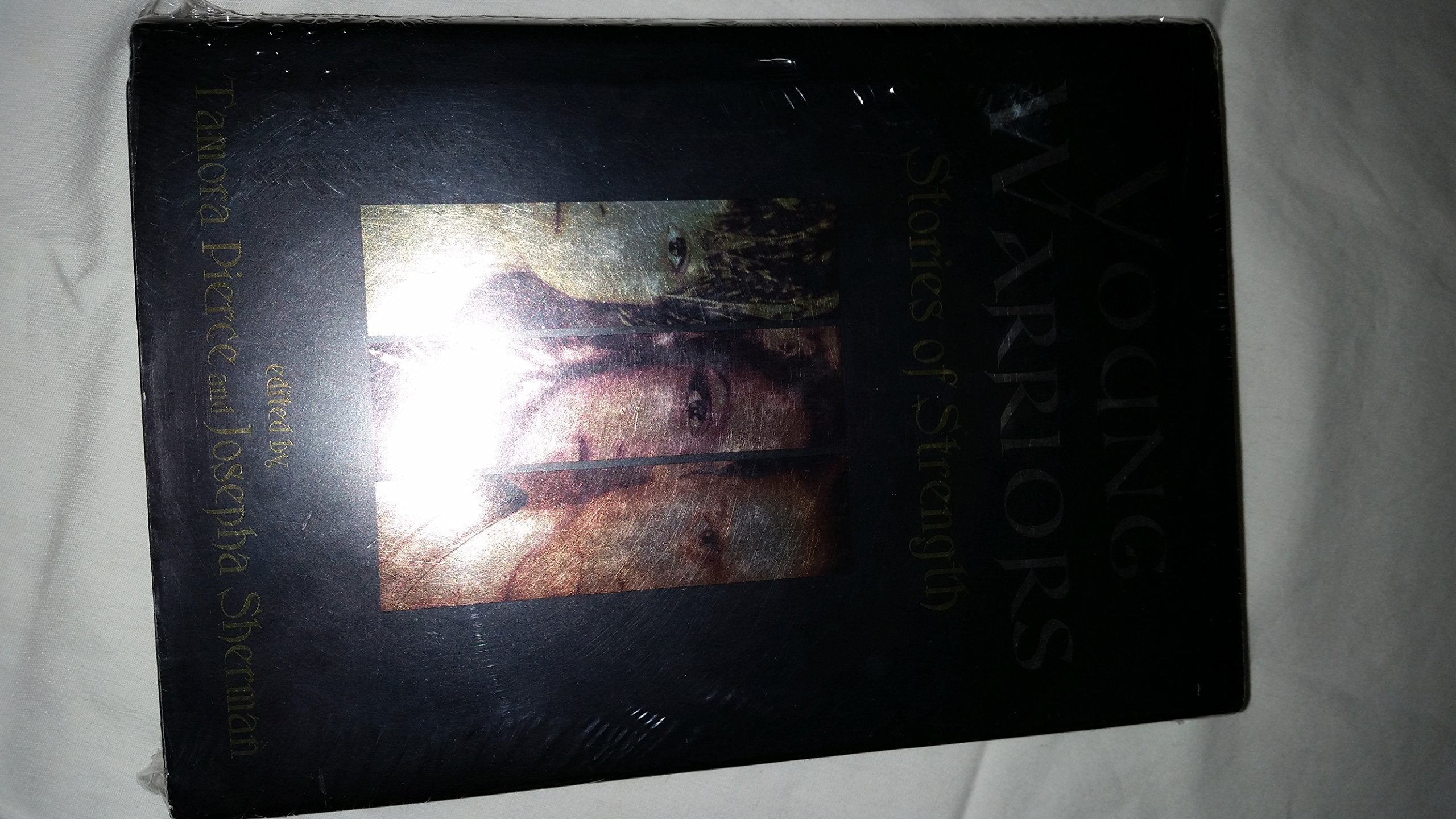 Young Warriors: Stories of Strength Fiction