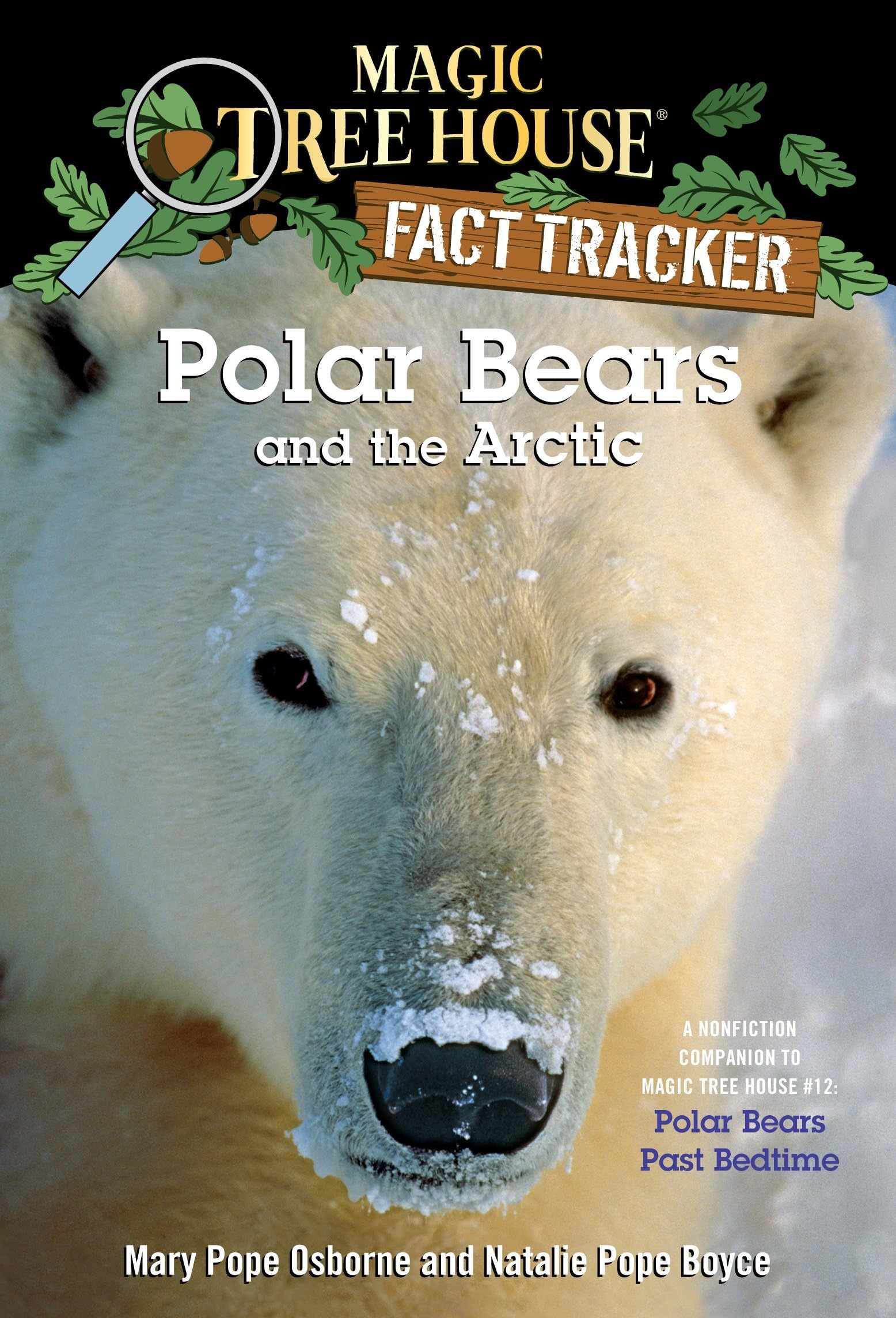 Polar Bears and the Arctic Non-fiction