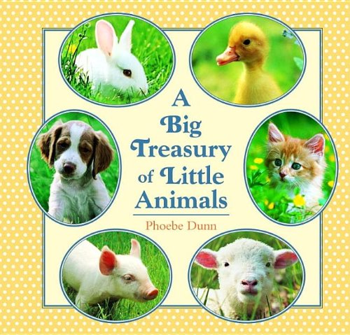 A Big Treasury of Little Animals Non-fiction