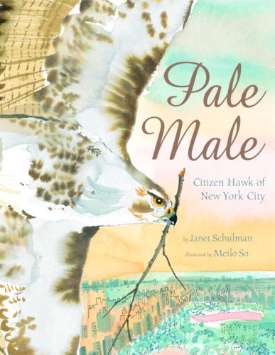 Pale Male: Citizen Hawk of New York City Non-fiction