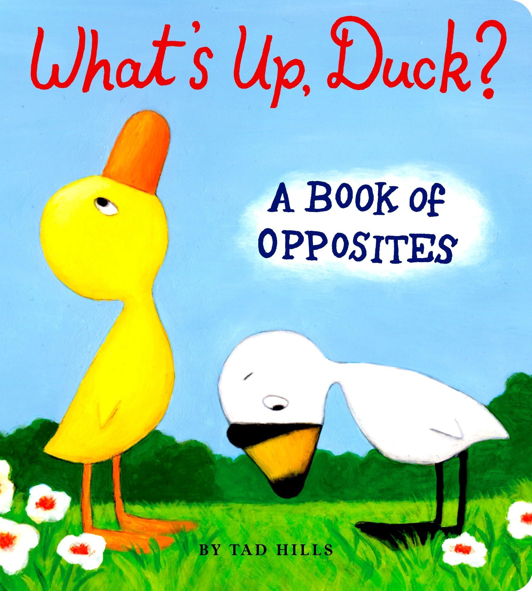 What's Up, Duck?: A Book of Opposites book