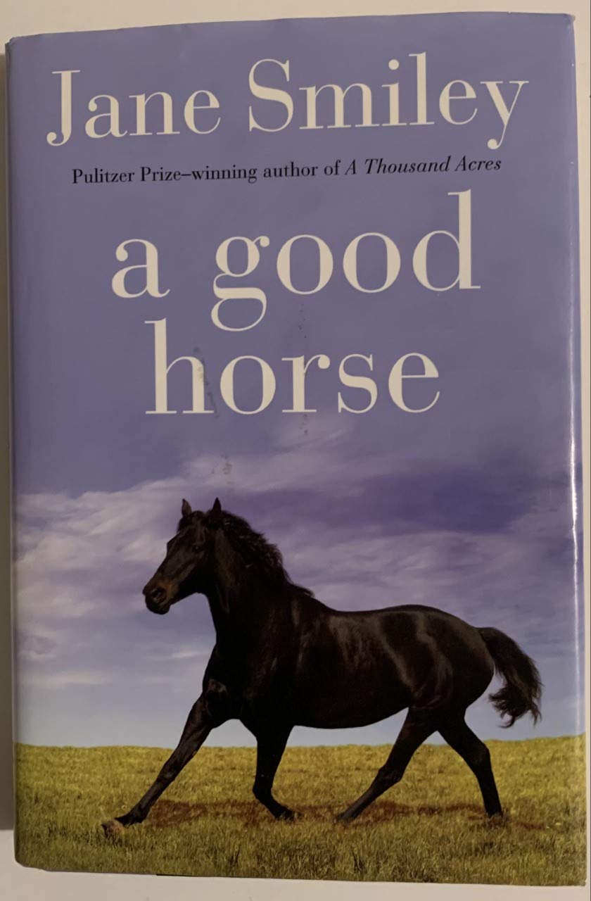 A Good Horse (Horses of Oak Valley Ranch, 2, Band 2) Non-fiction