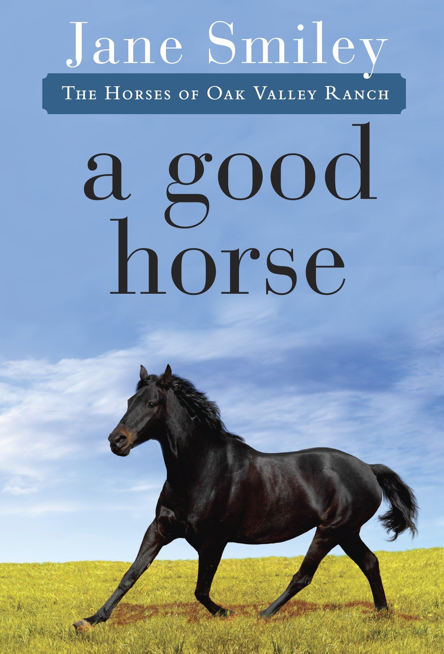 Product Image: A Good Horse