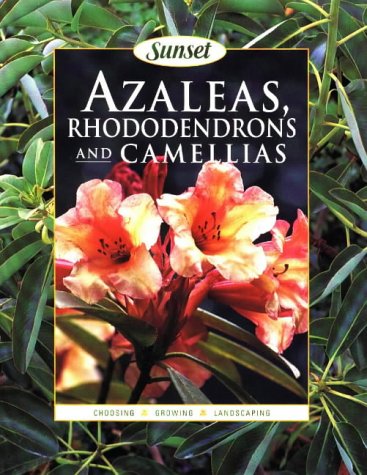 Azaleas, Rhododendrons and Camellias Garden & Plants