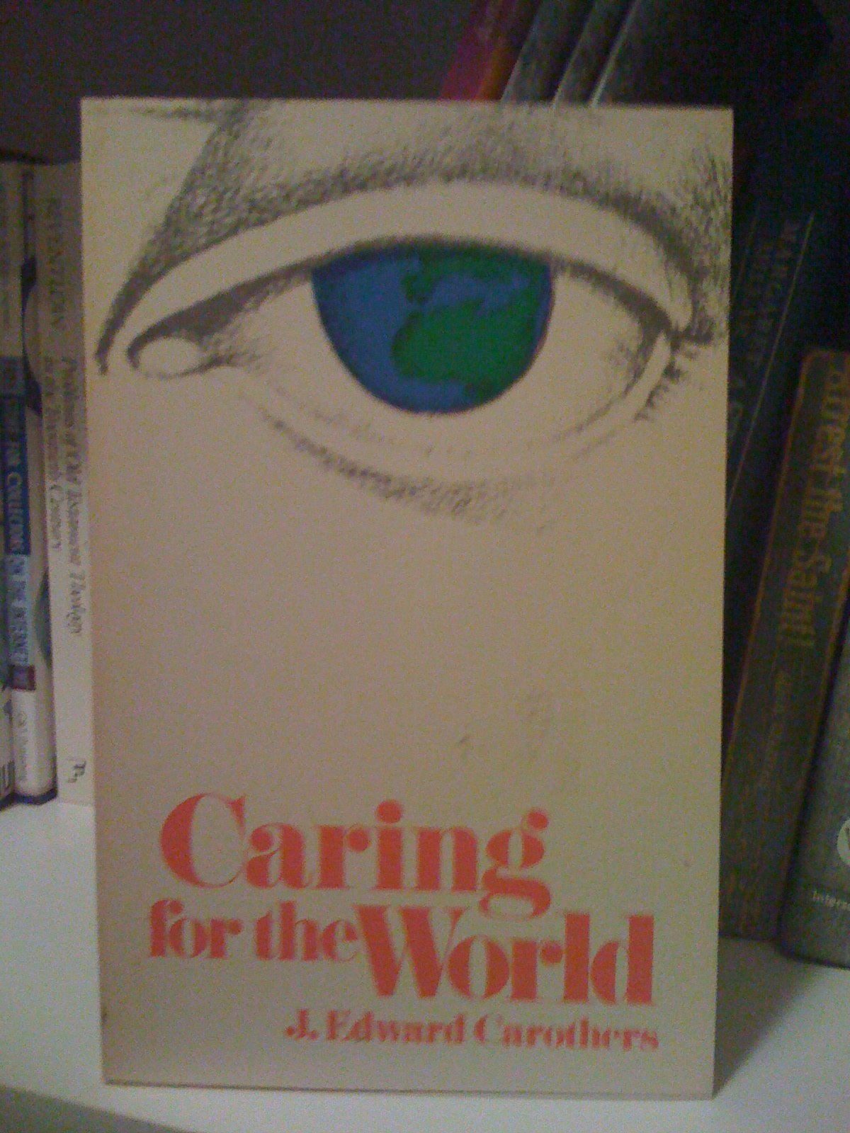 Caring for the world: A Christian religious experience Books