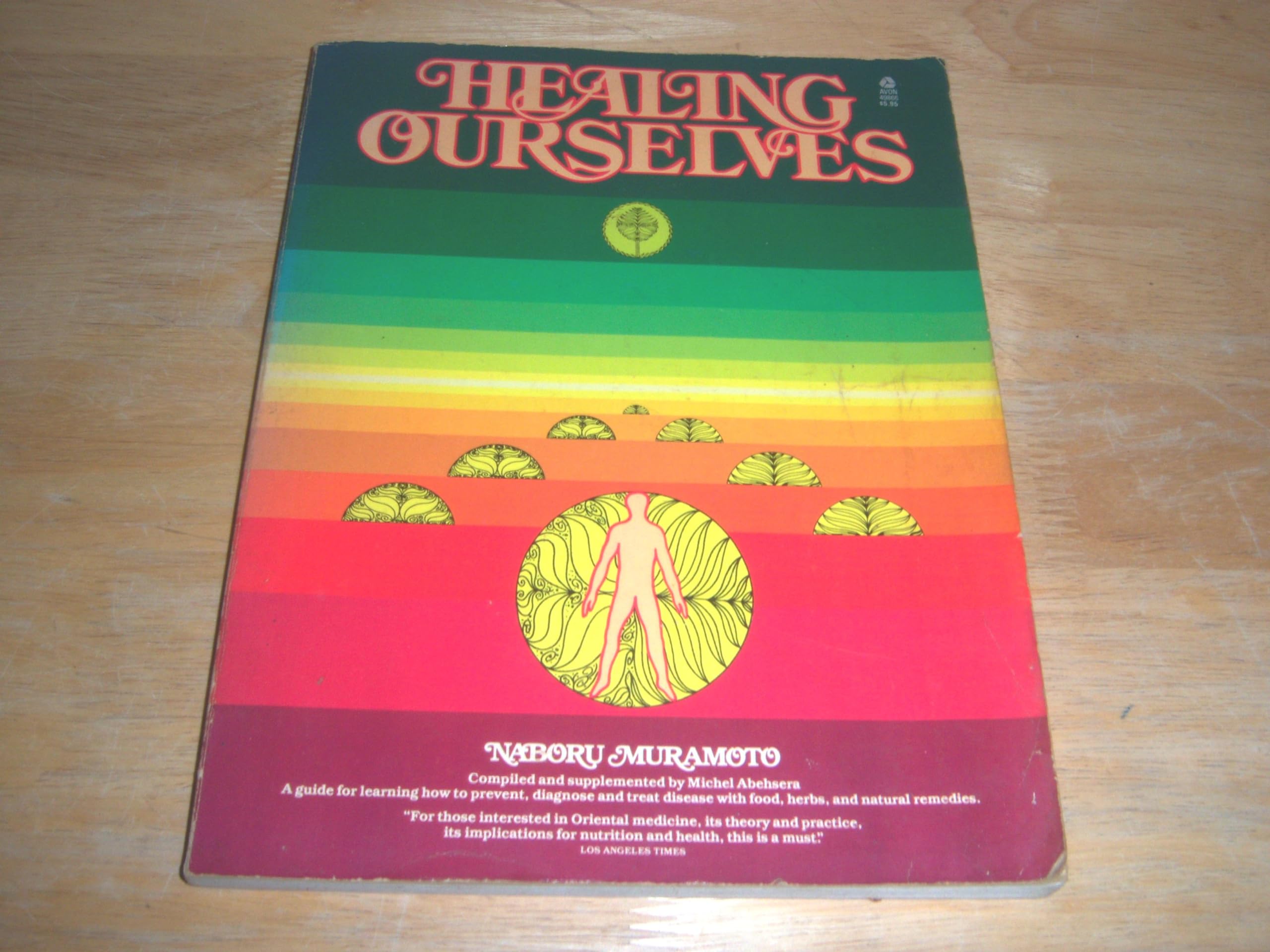 Healing Ourselves: A Book to Serve As a Companion in Time of Illness and Health : Based on the Lectures and Teaching of Naboru Muramoto Medicine