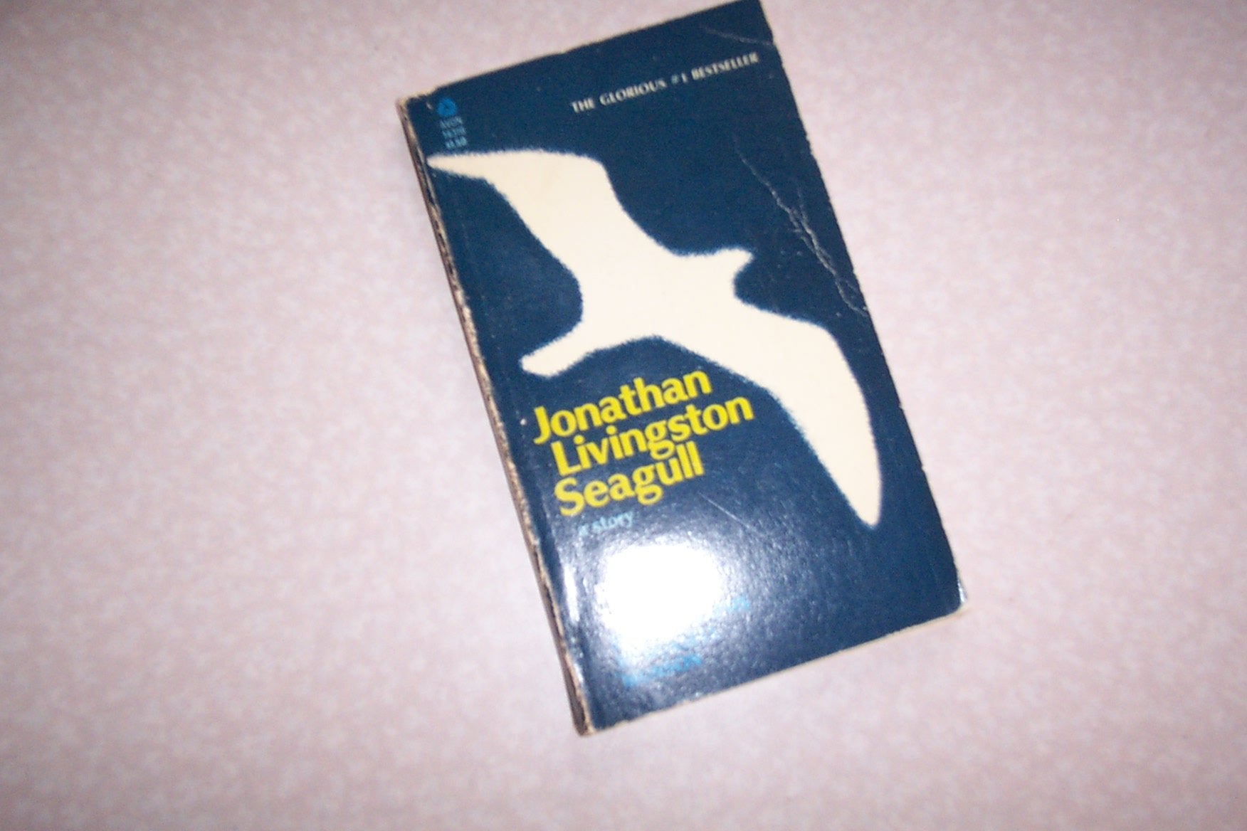 Jonathan Livingston Seagull a Story Books