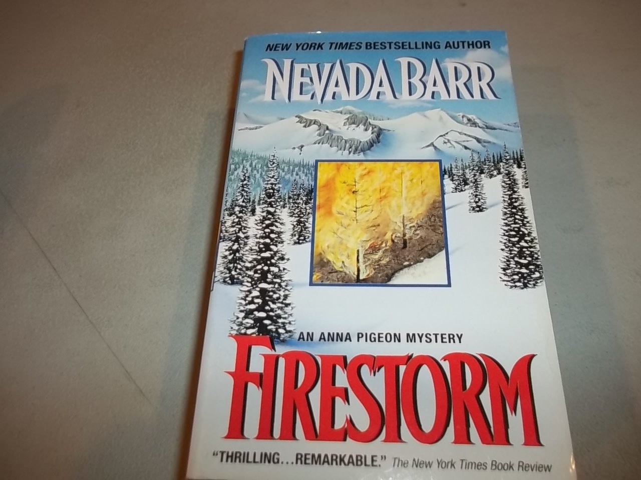 Firestorm Contemporary literature Books