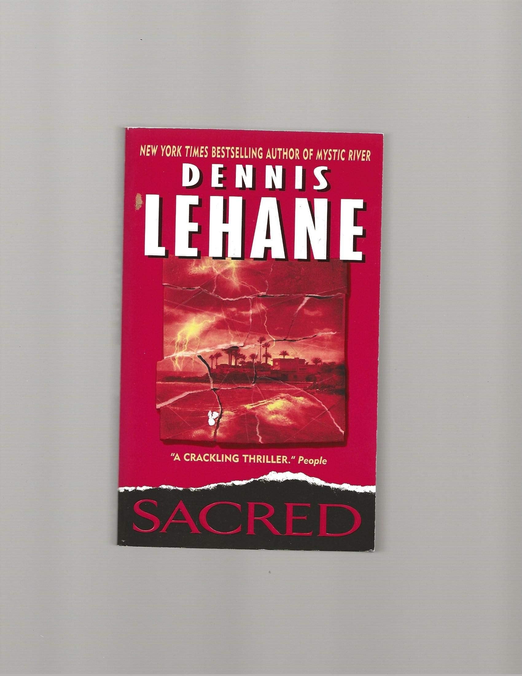 Sacred: A Novel Contemporary literature Books