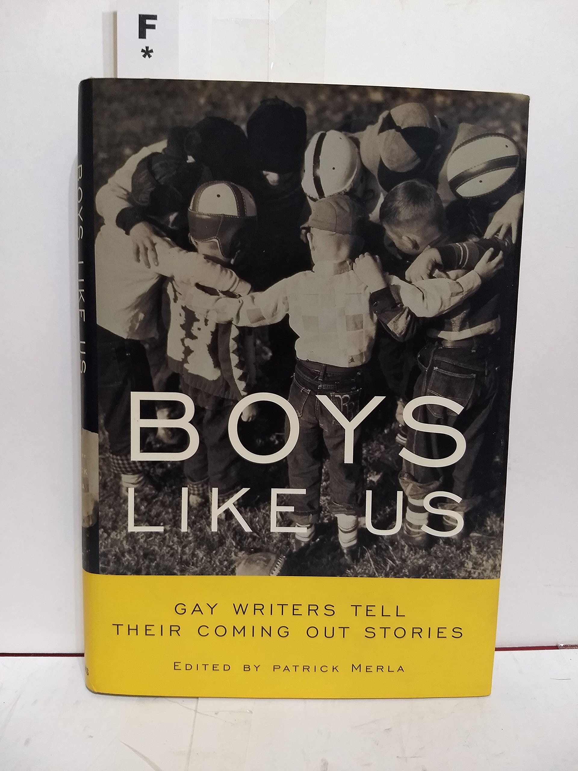 Boys Like Us: Gay Writers Tell Their Coming Out Stories Social Sciences