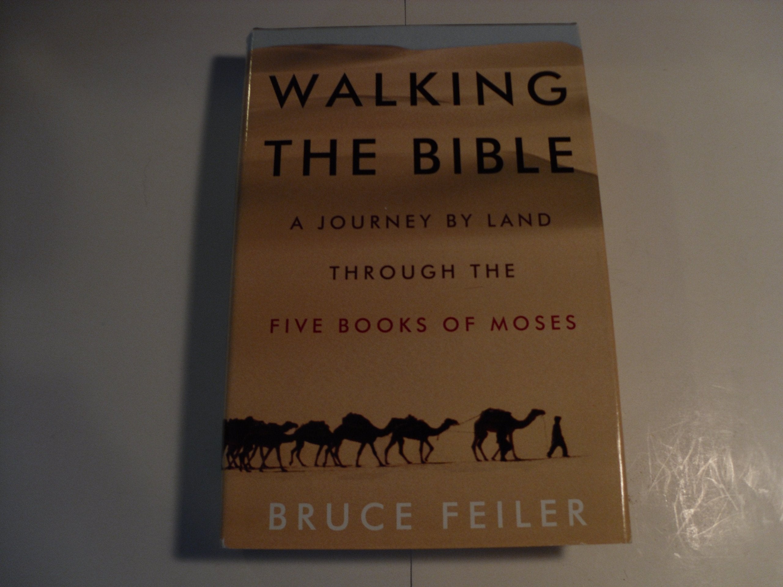 Walking the Bible: A Journey by Land Through the Five Books of Moses Politics & Society