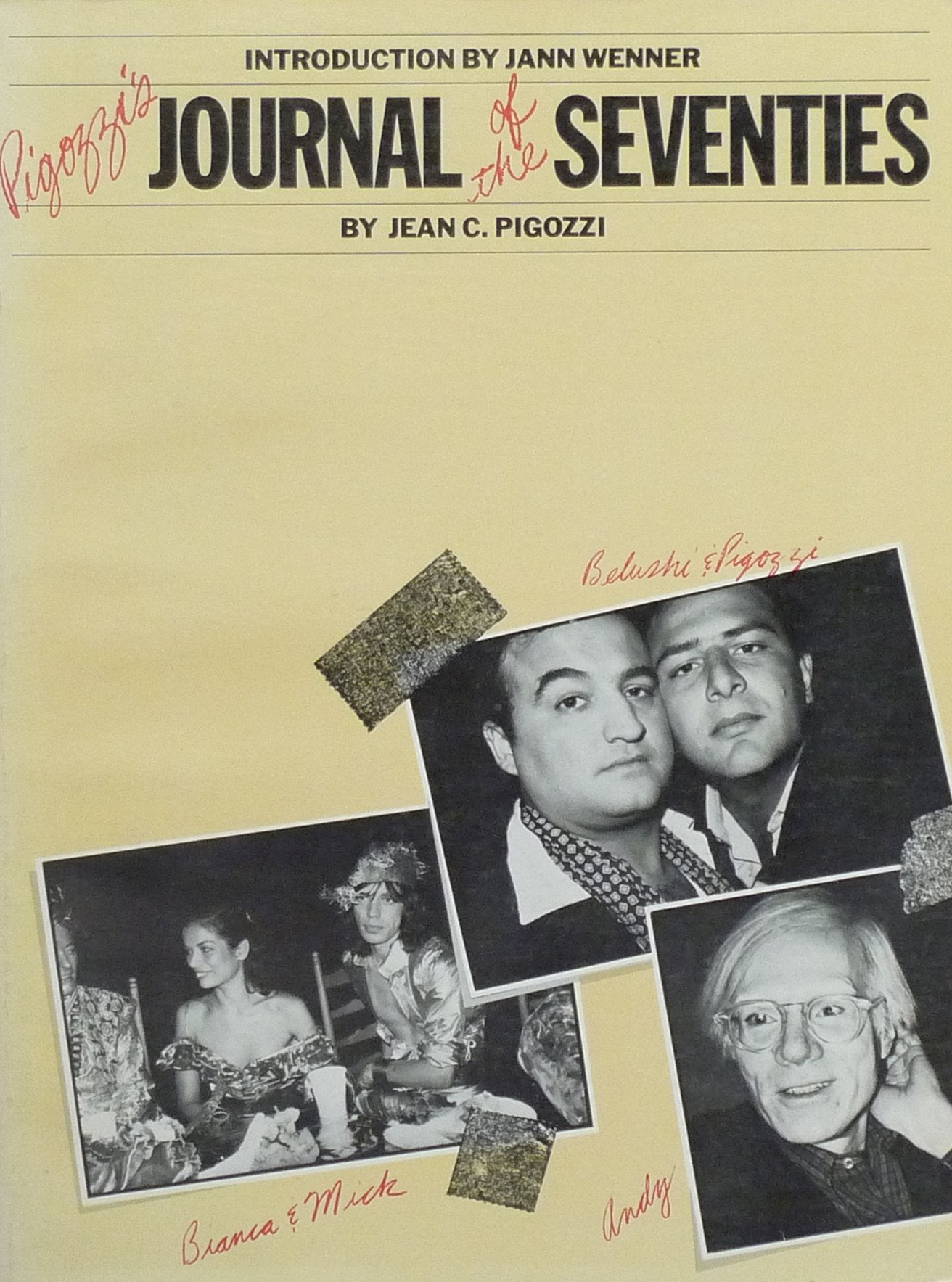 Pigozzi's Journal of the Seventies Books