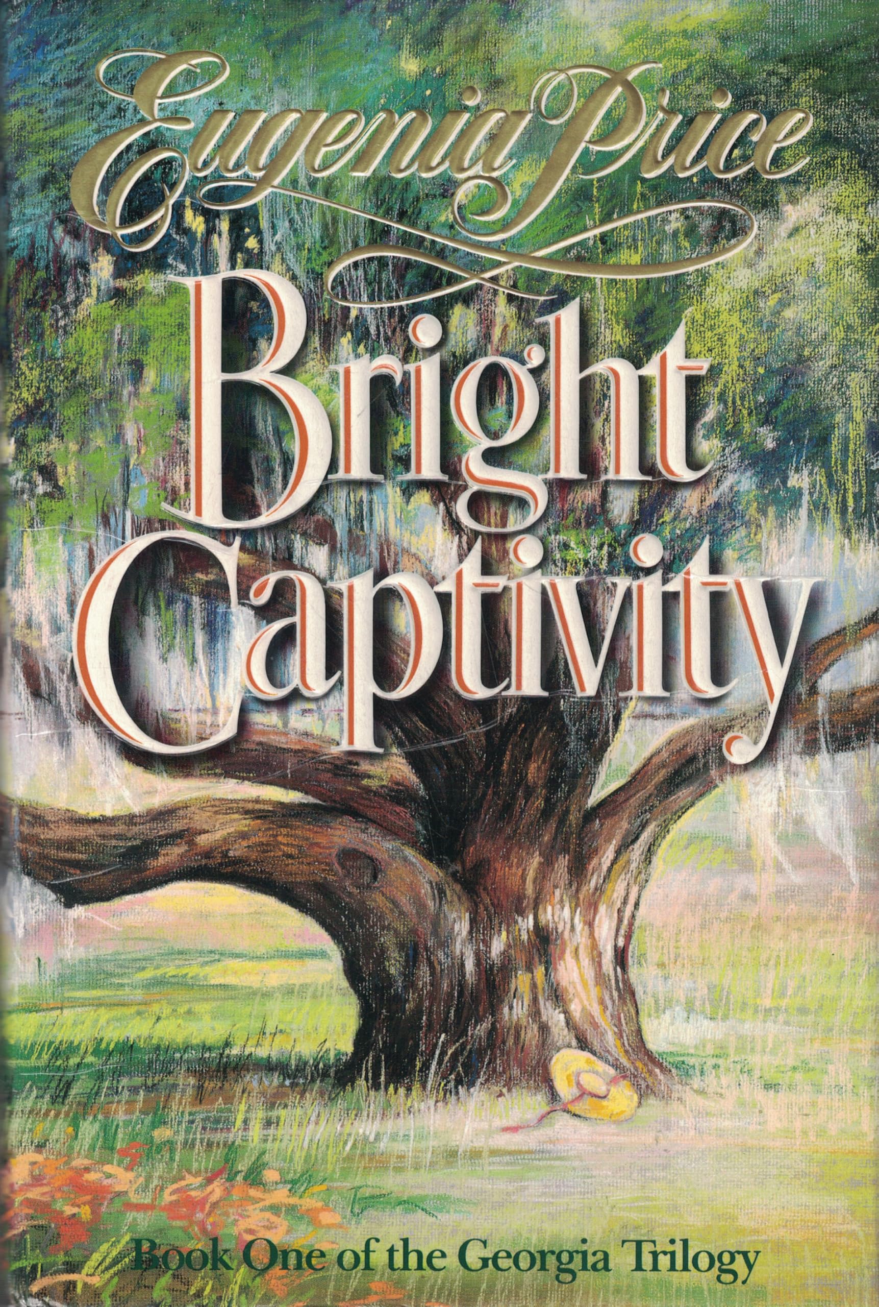 Bright Captivity (Book One of the Georgia Trilogy) Historical Fiction