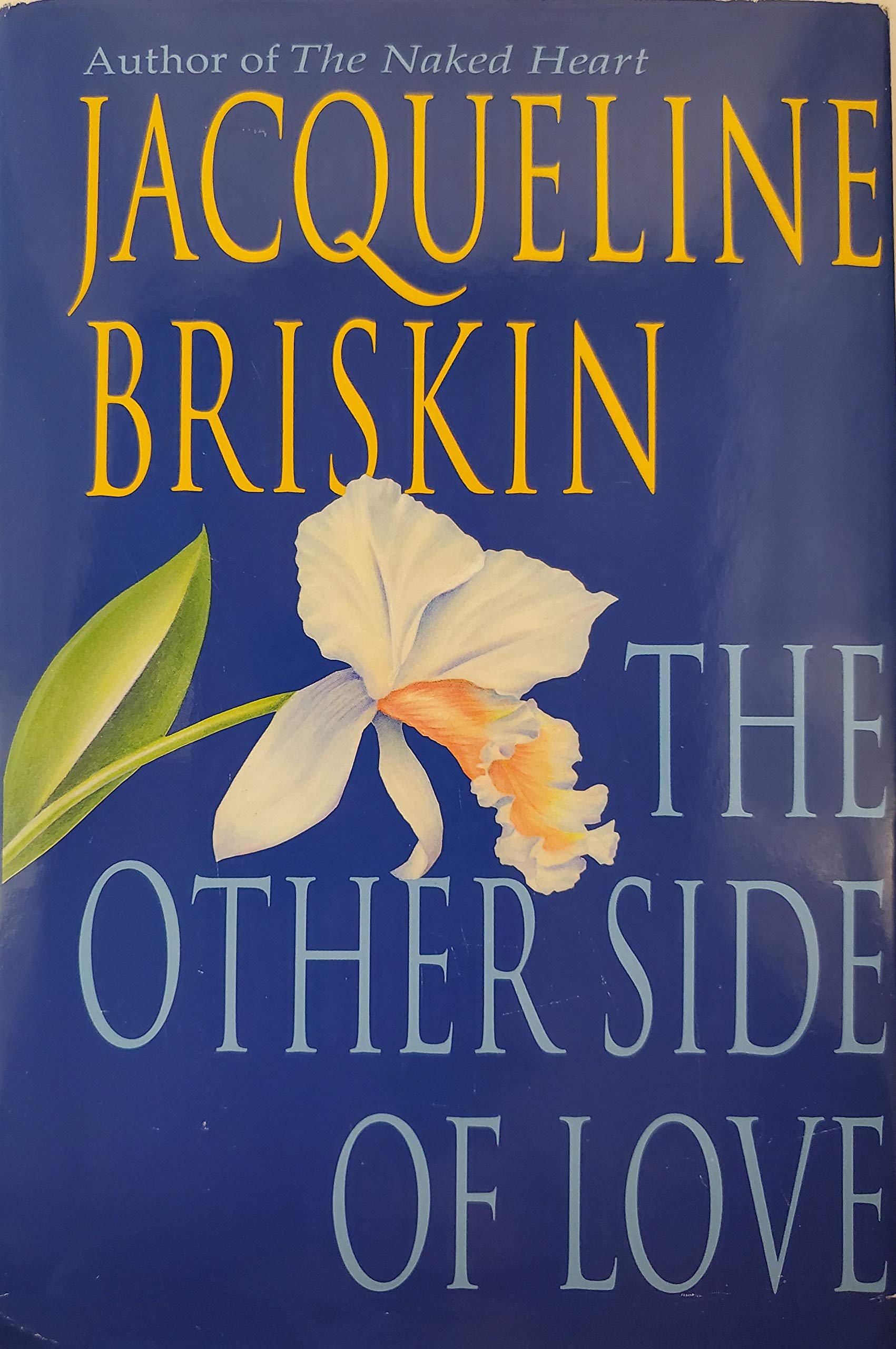 The Other Side of Love Contemporary literature
