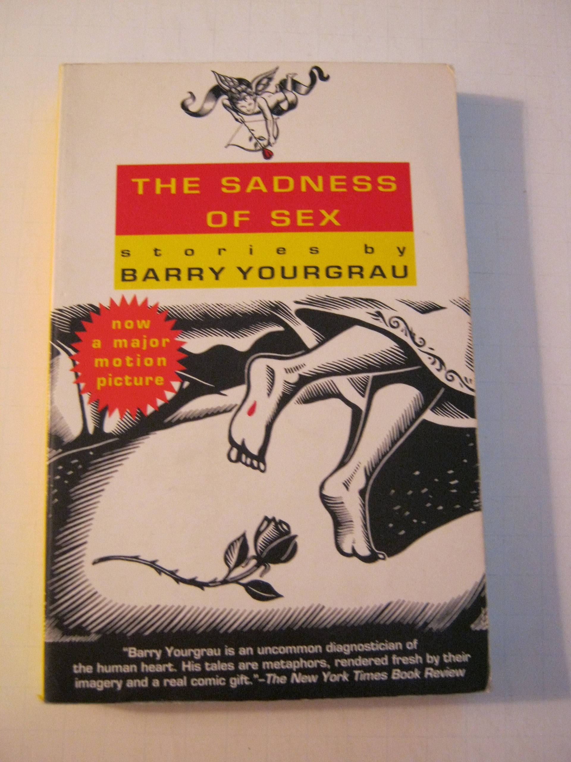 The Sadness of Sex Contemporary literature