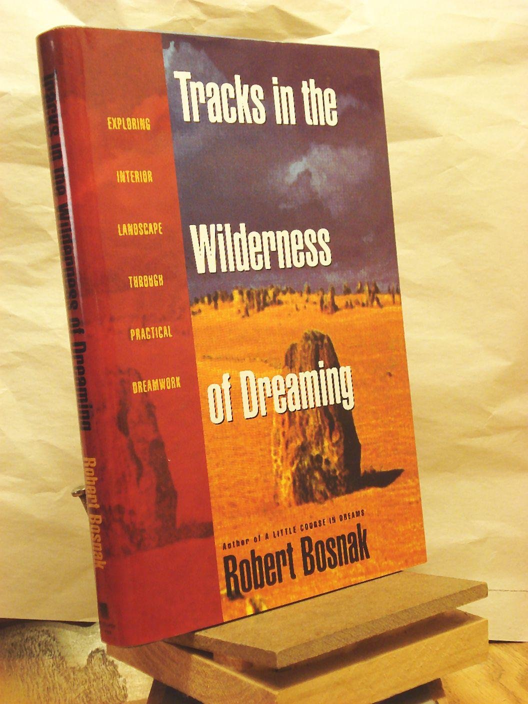 Tracks in the Wilderness of Dreaming: Exploring Interior Landscape Through Practical Dreamwork Psychology