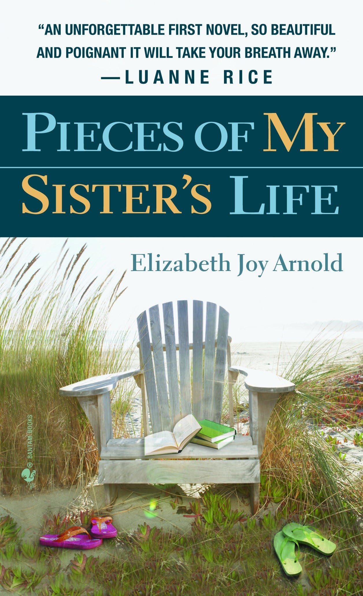 Pieces of My Sister's Life Contemporary literature