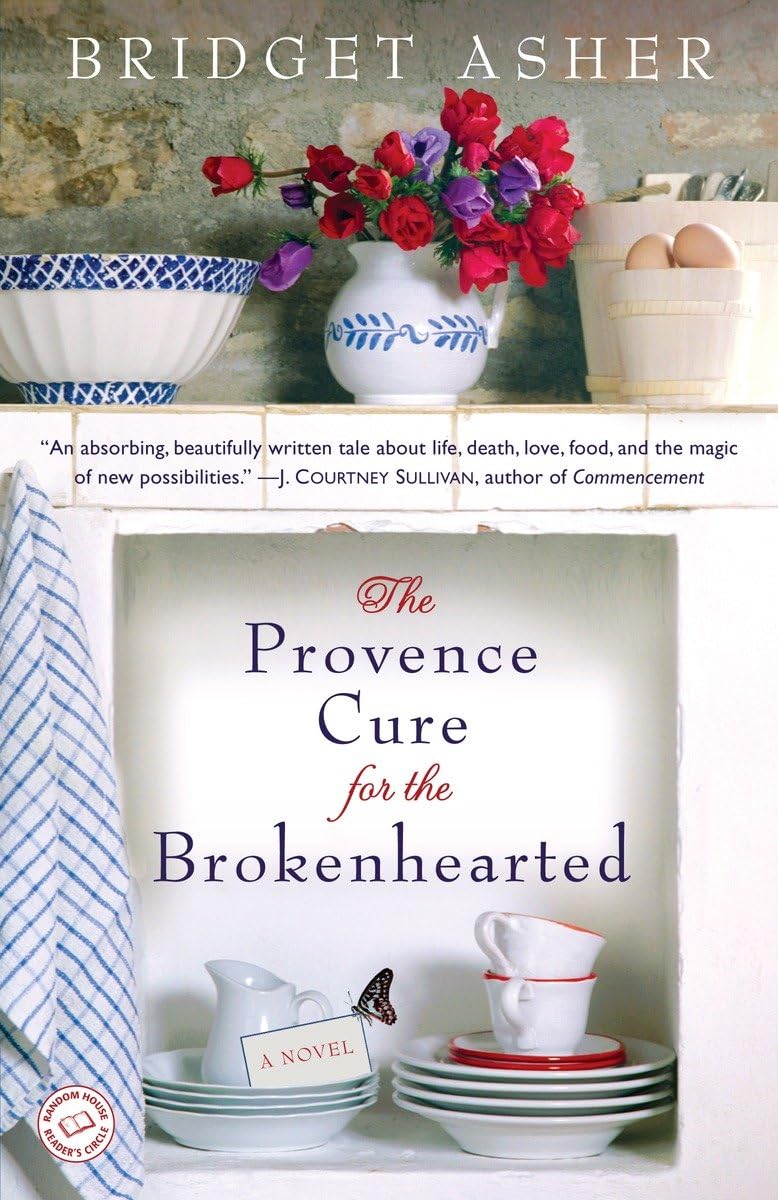 The Provence Cure for the Brokenhearted Contemporary literature Books