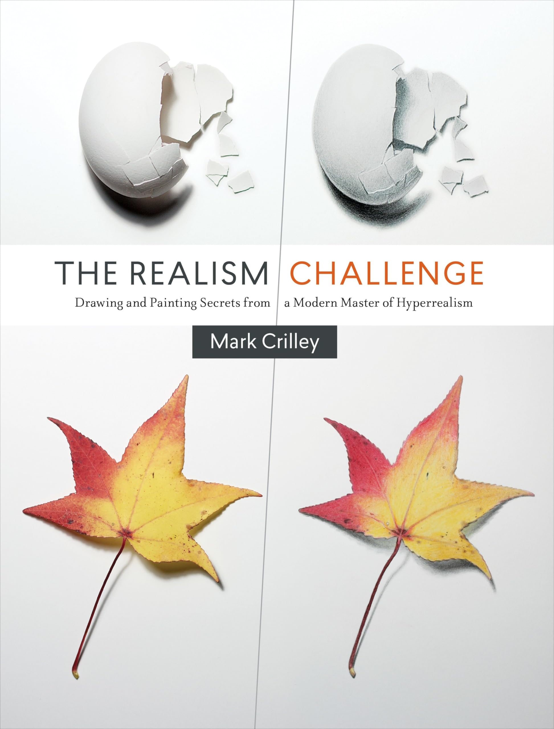 The Realism Challenge: Drawing and Painting Secrets from a Modern Master of Hyperrealism Manga