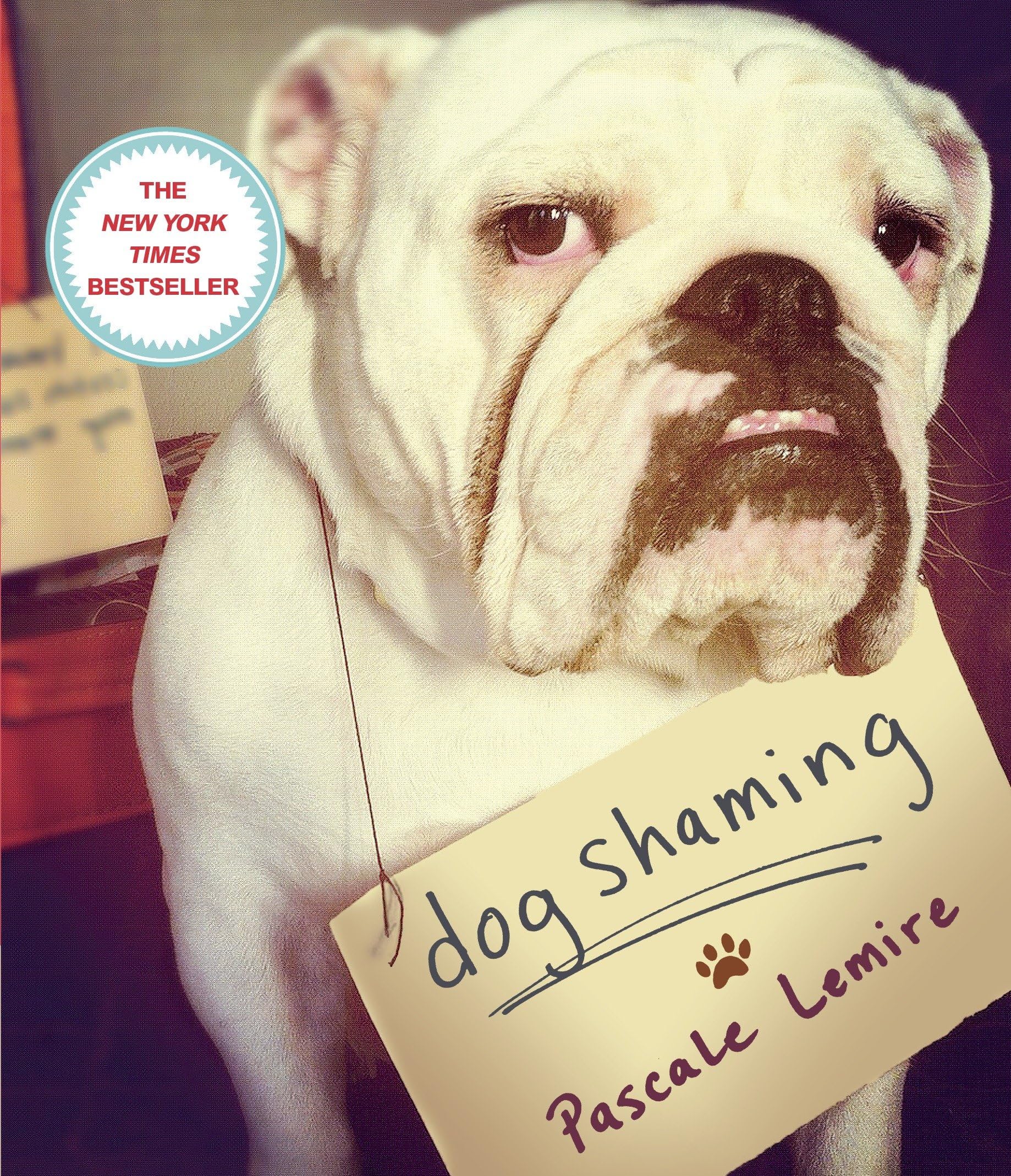 Dog Shaming Photography Books
