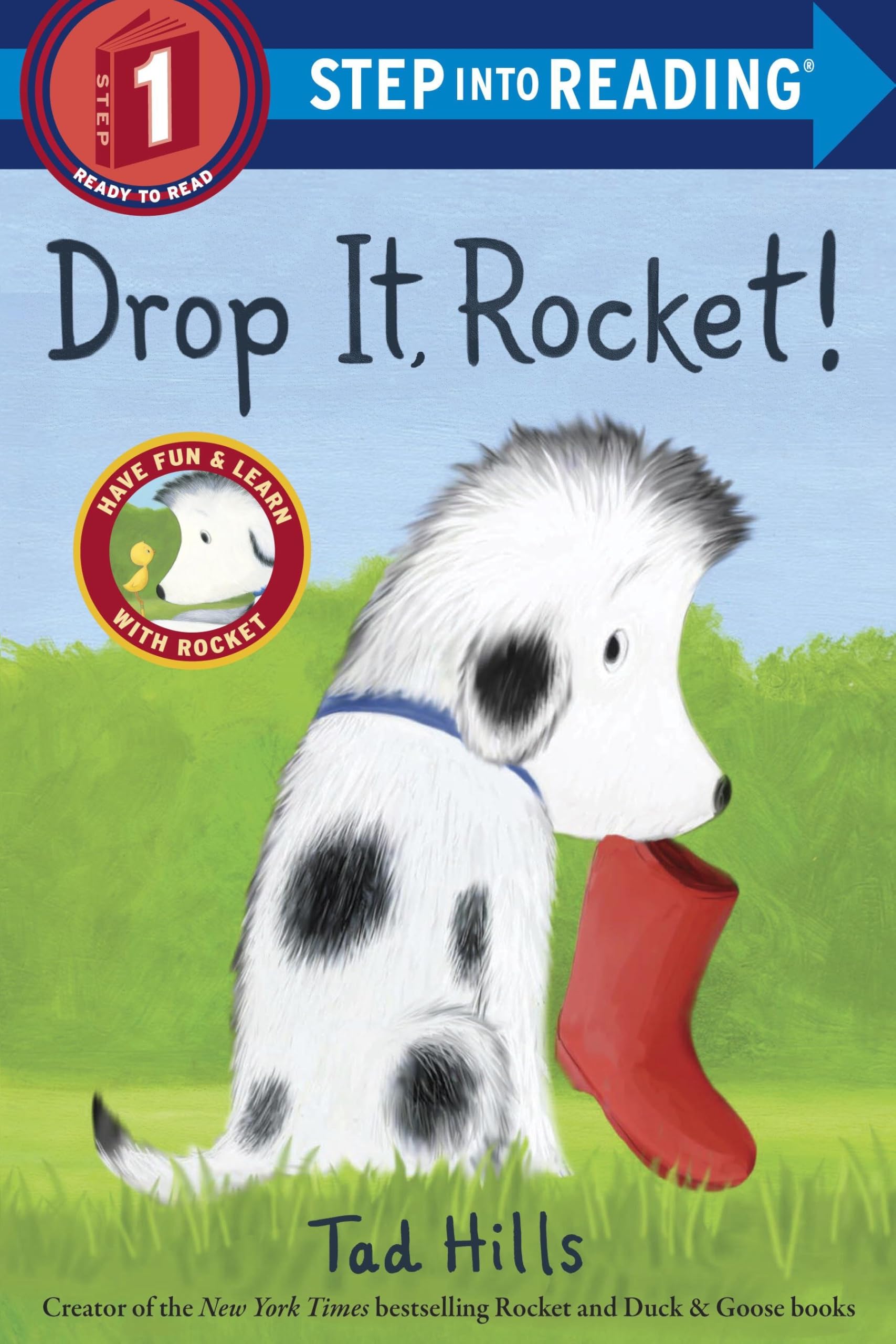 Drop It, Rocket! Non-fiction books for kids