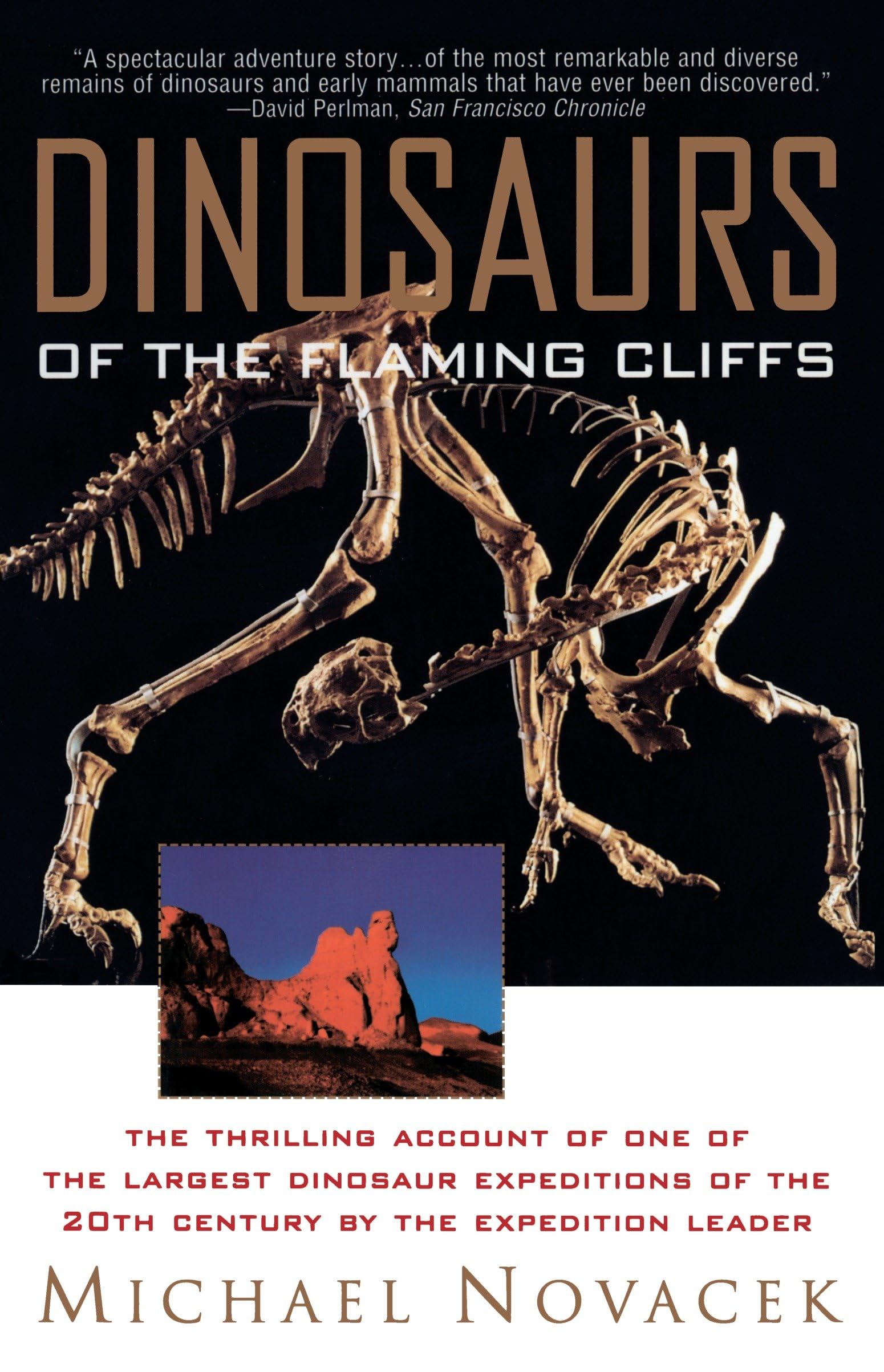 Dinosaurs of the Flaming Cliff Mathematics