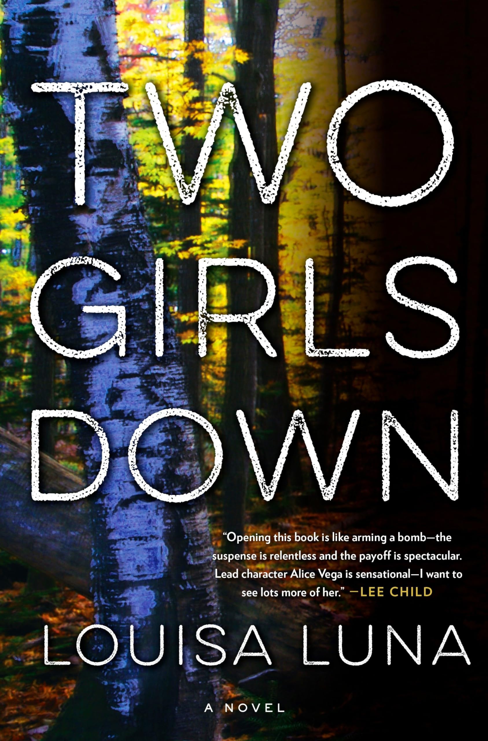 Two Girls Down: A Novel (An Alice Vega Novel, Band 1) Poetry