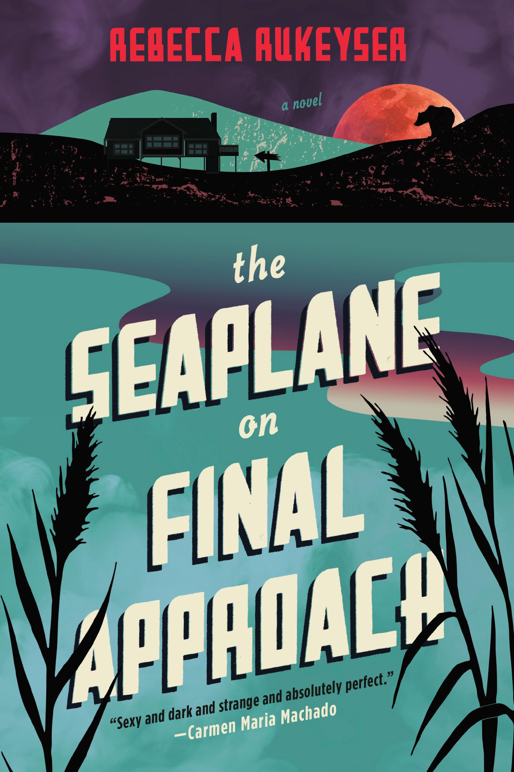 Product Image: The Seaplane on Final Approach