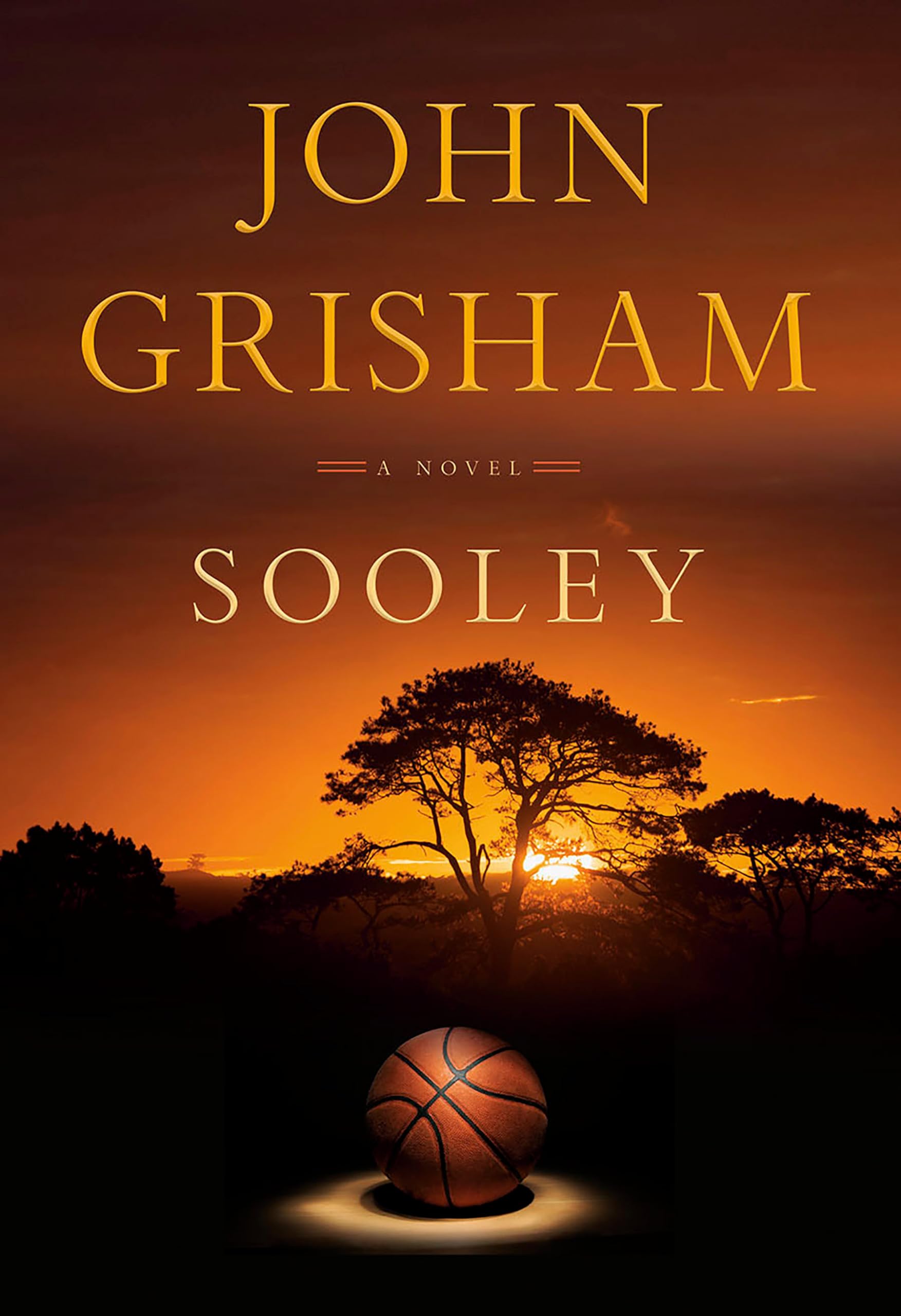 Sooley Contemporary literature Books