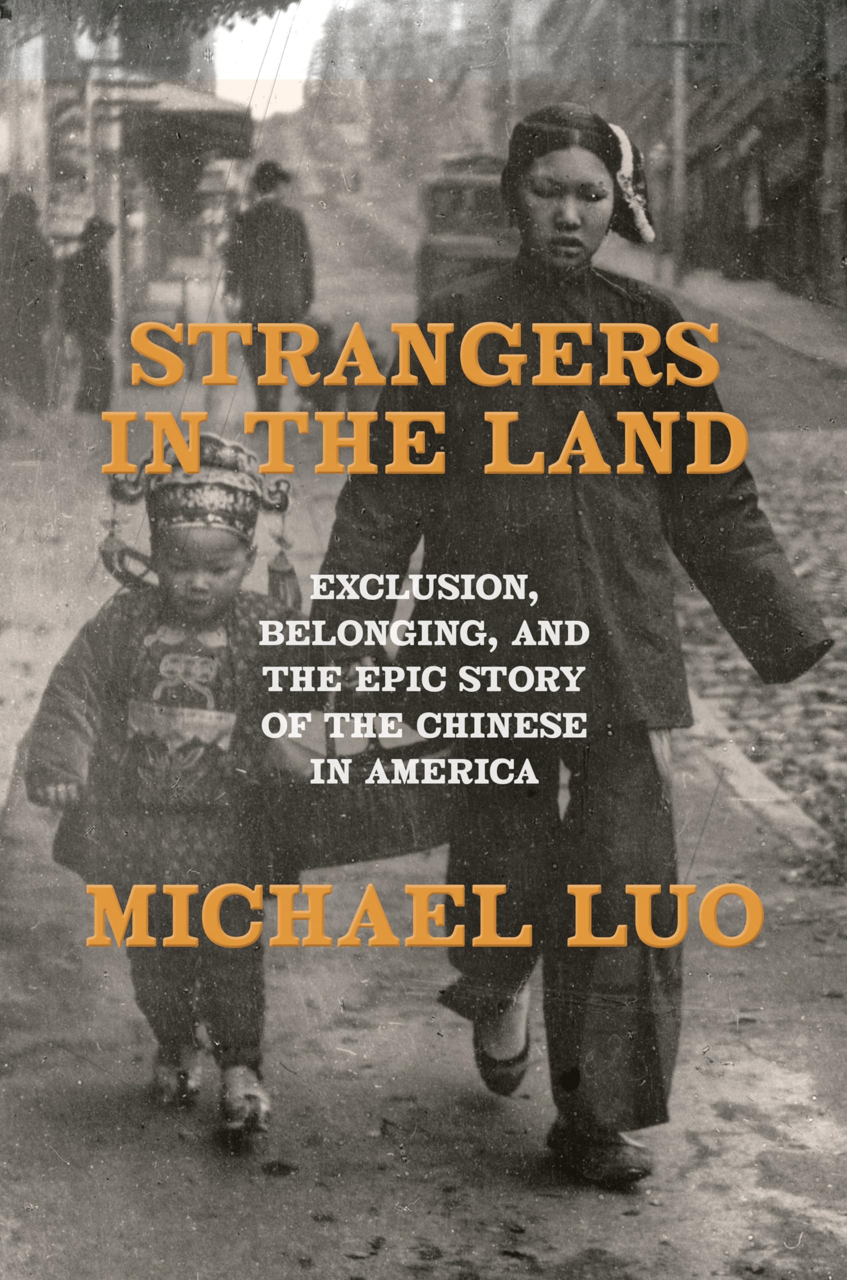 Strangers in the Land: Exclusion, Belonging, and the Epic Story of the Chinese in America Books