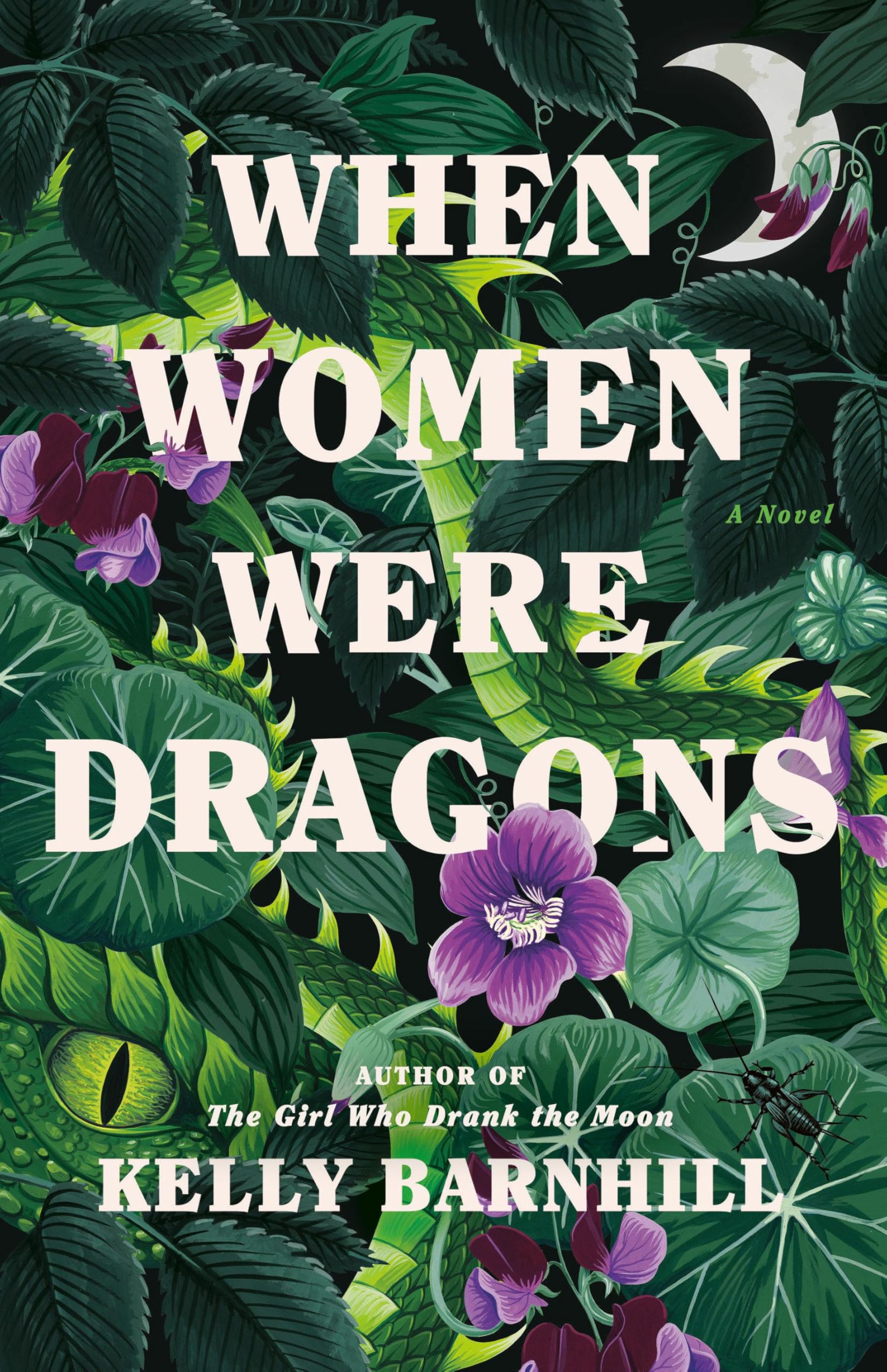When Women Were Dragons: A Novel Social Sciences