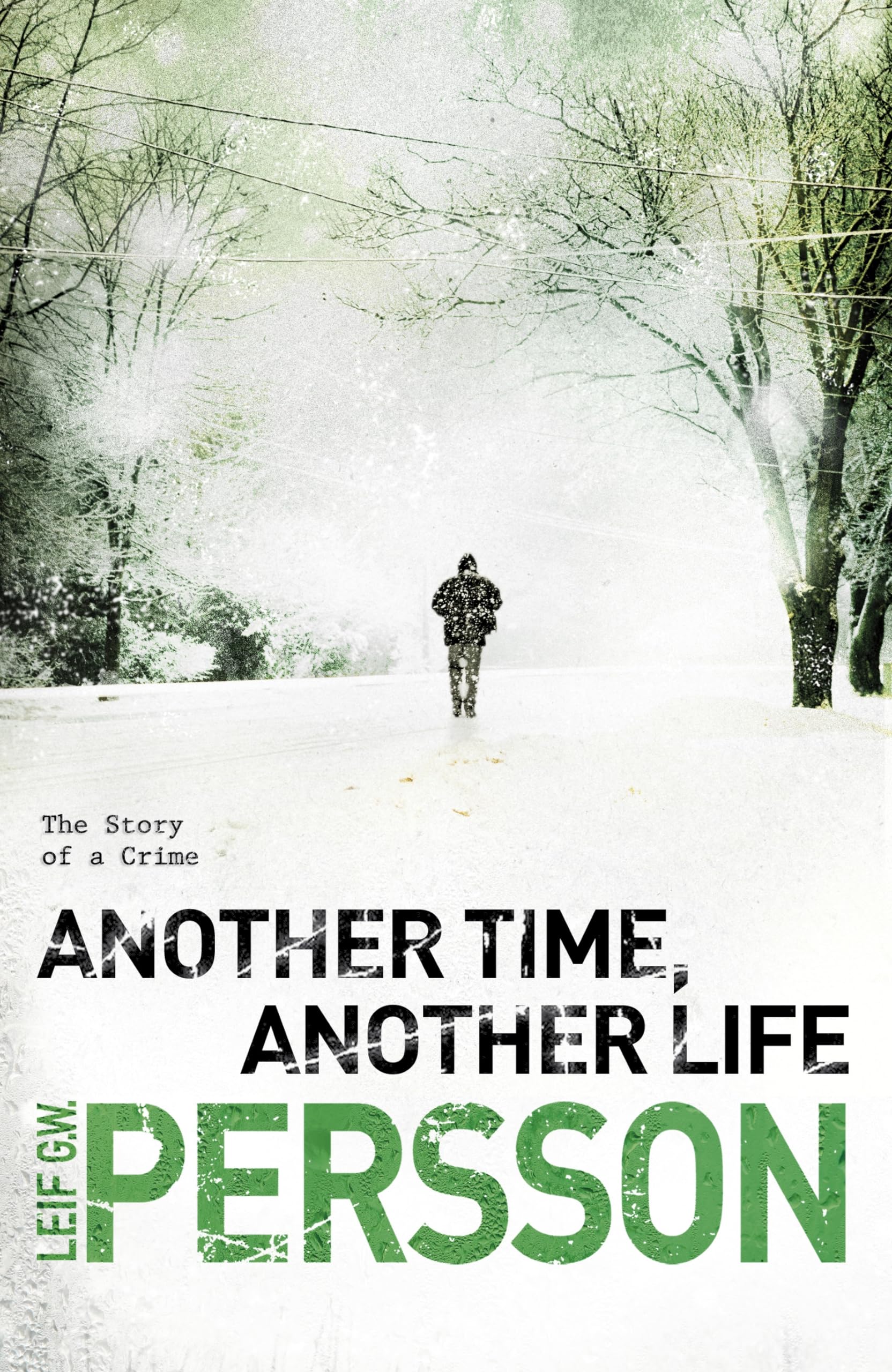 Another Time, Another Life: (The Story of a Crime 2) Contemporary literature
