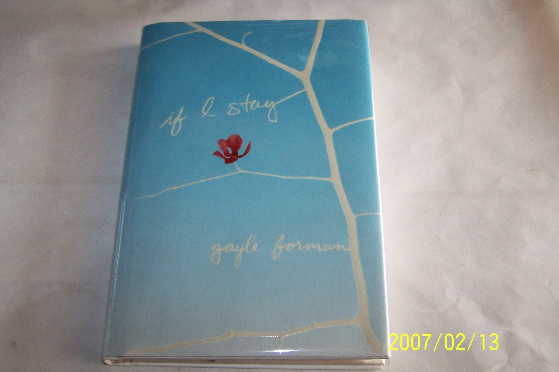 If I Stay Fiction Books