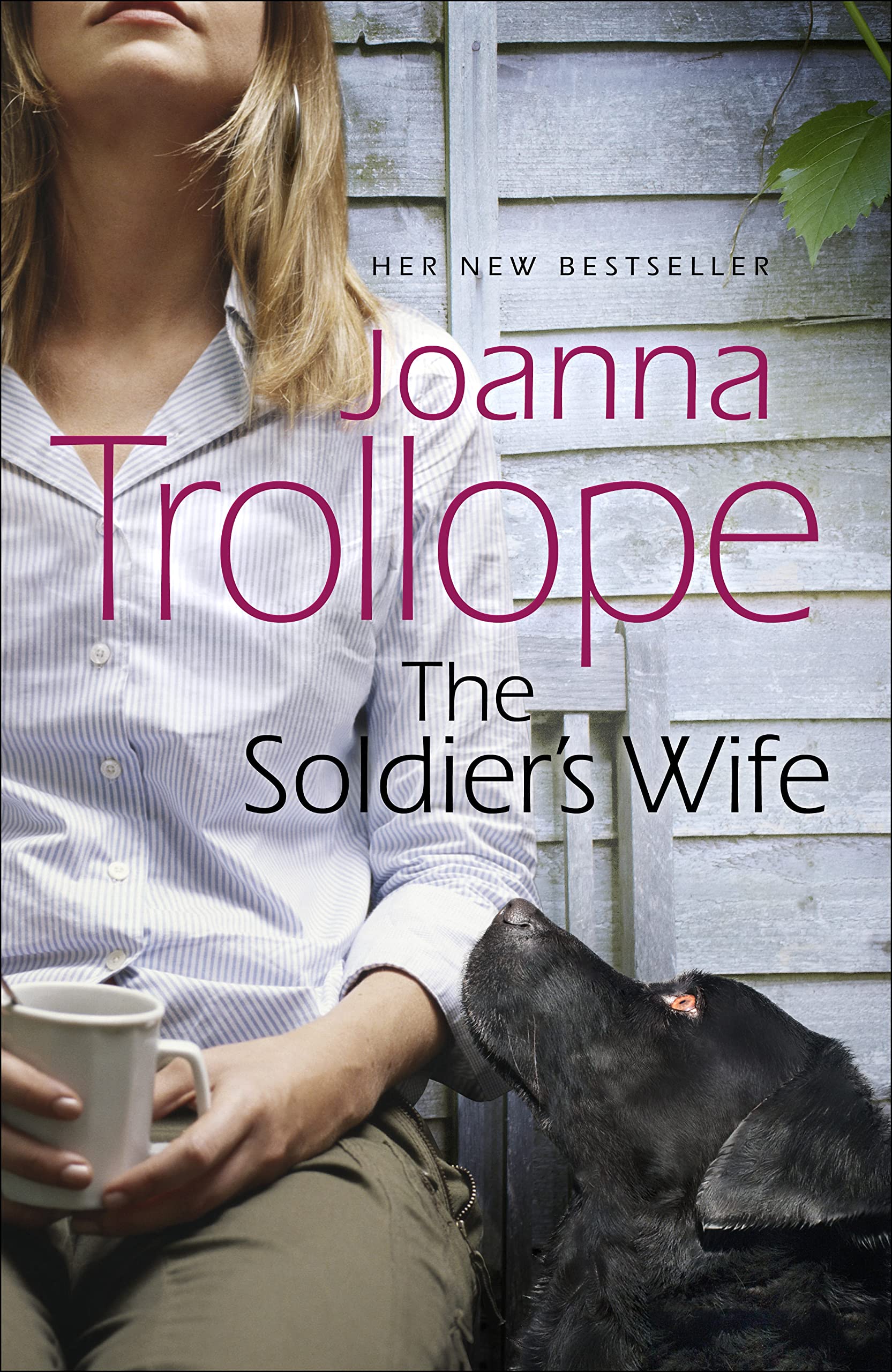 The Soldiers Wife Contemporary literature