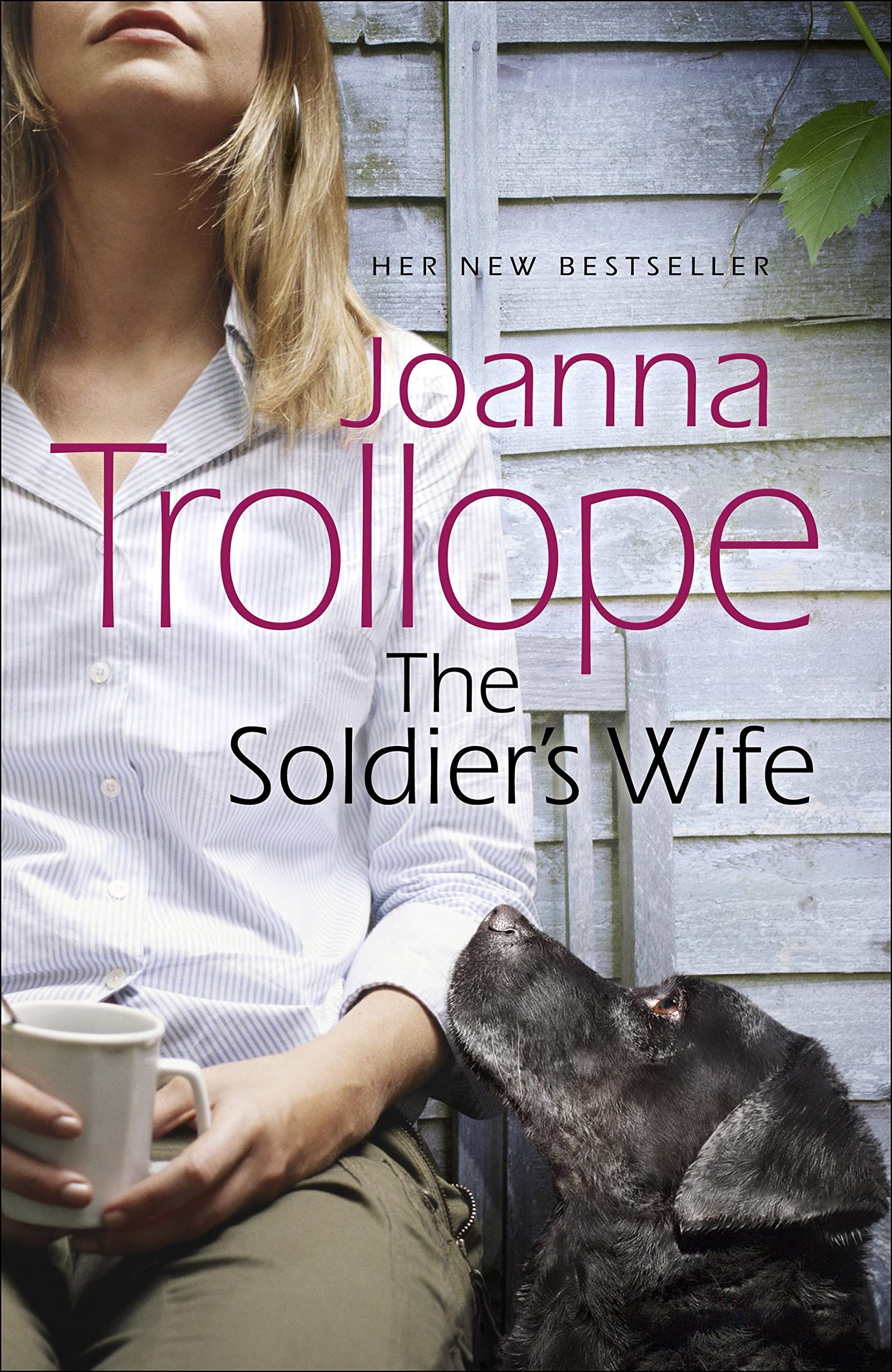 The Soldier's Wife Contemporary literature