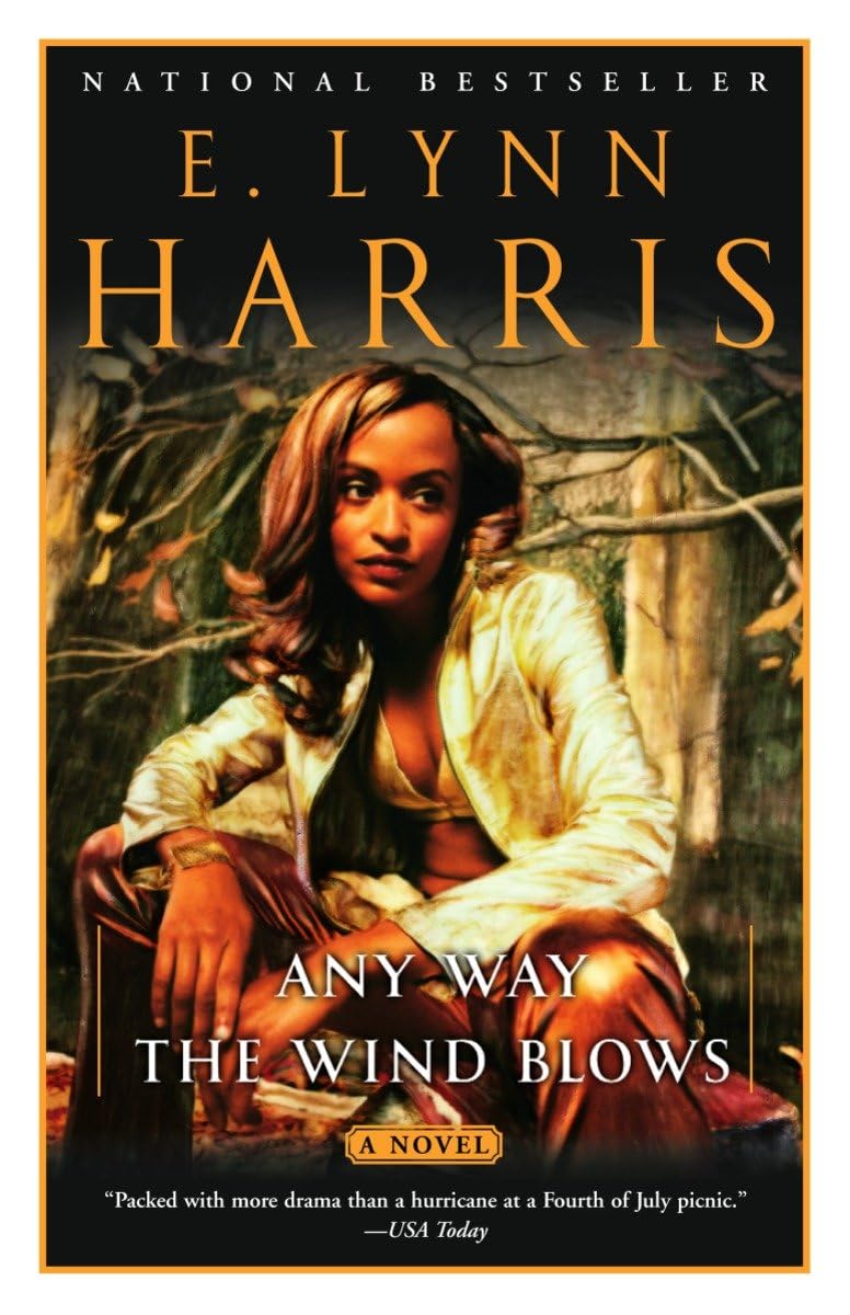 Any Way the Wind Blows: A Novel (Basil and Yancy Series, Band 2) LGBTQ+