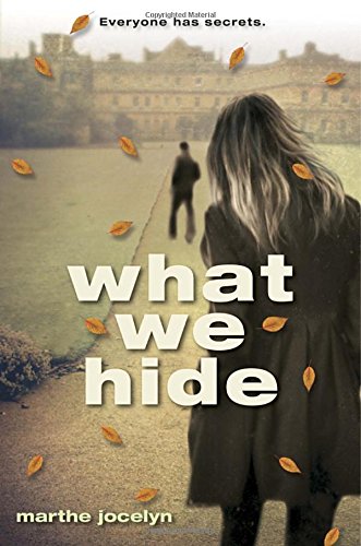 What We Hide Fiction